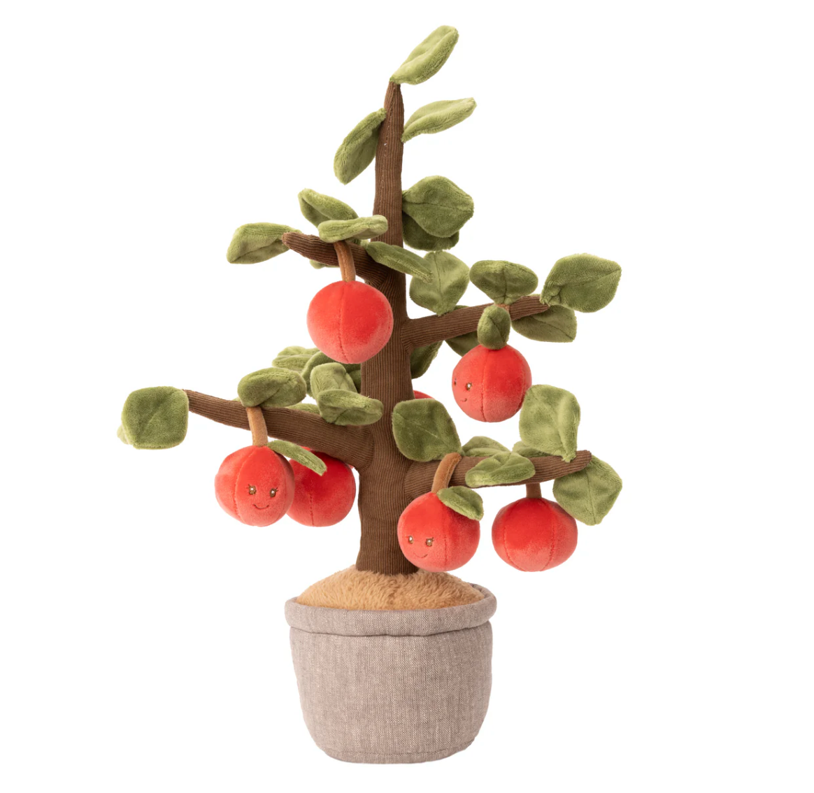 Apple Tree