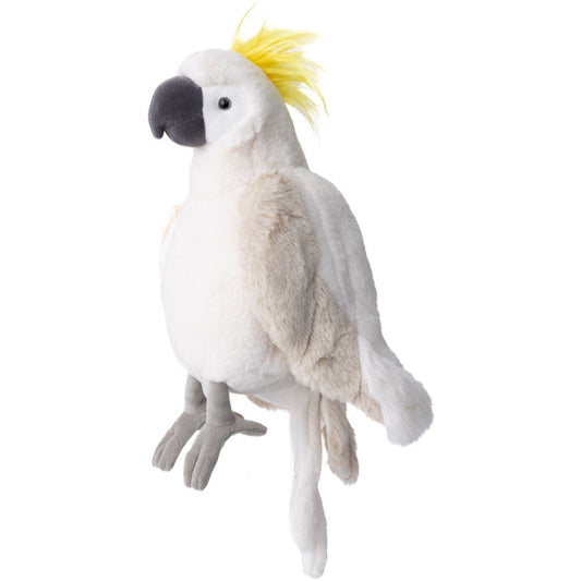 Mango Parrot