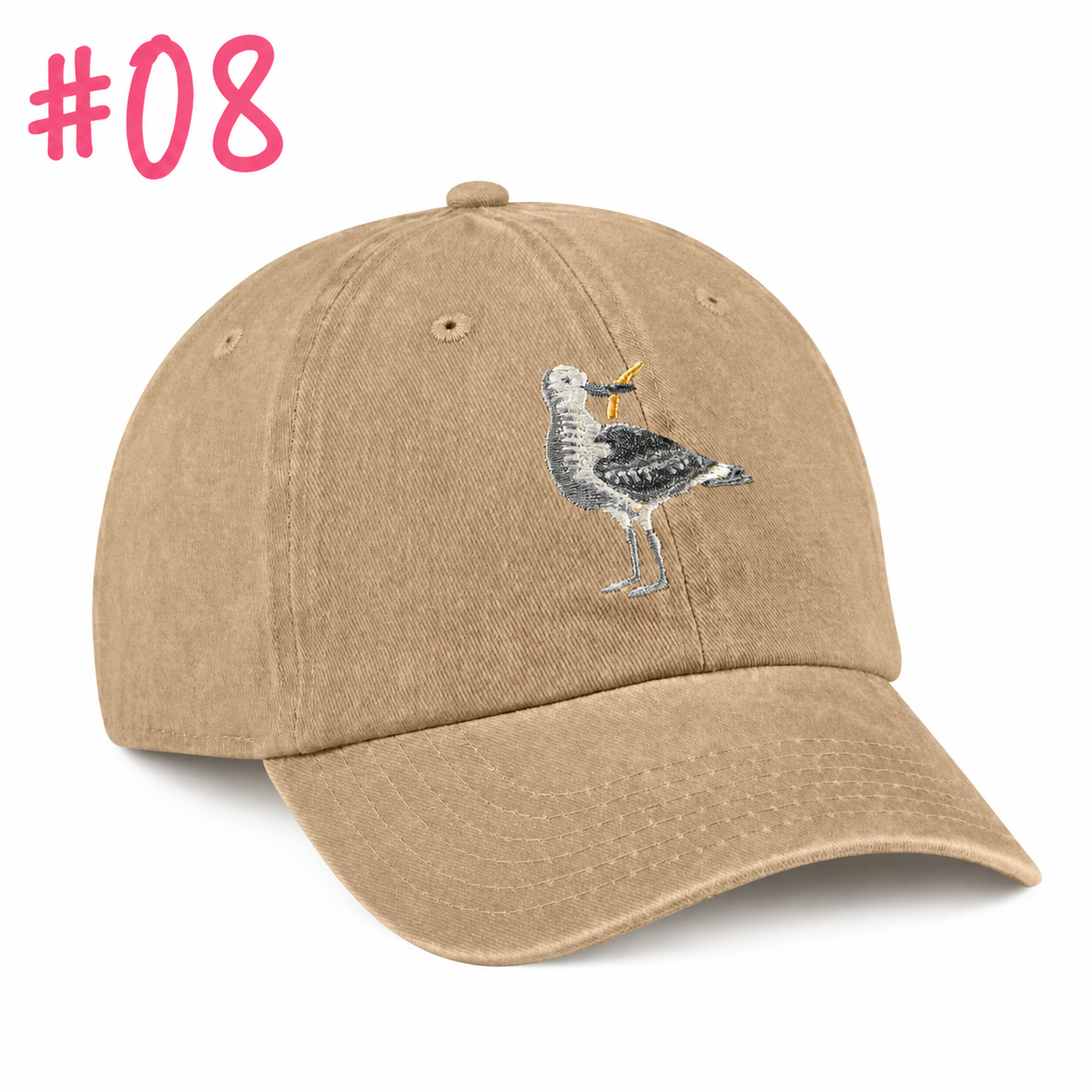 Bird with A Fry Baseball Cap