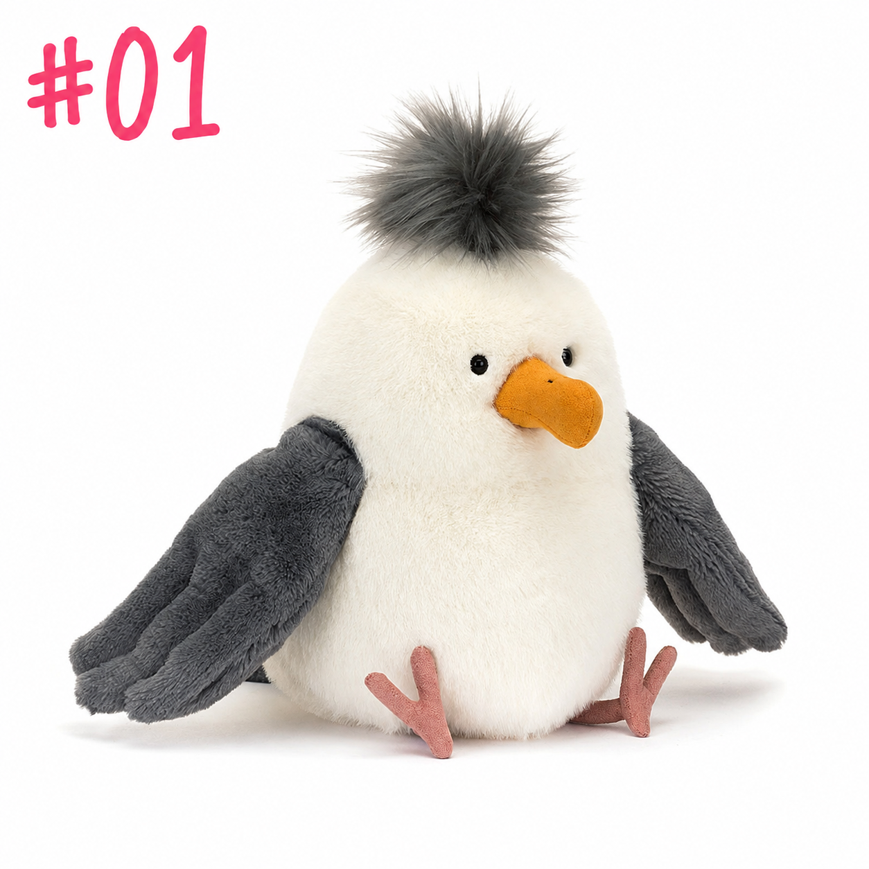 Chip Seagull
